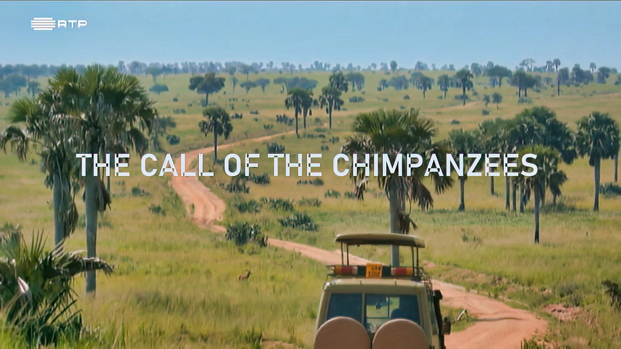 Planet Safari