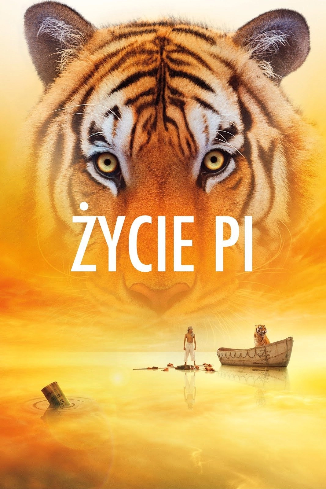 Life of Pi