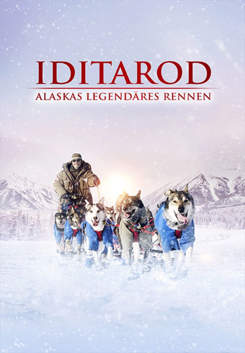 Iditarod, la dernière course de Nicolas Vanier