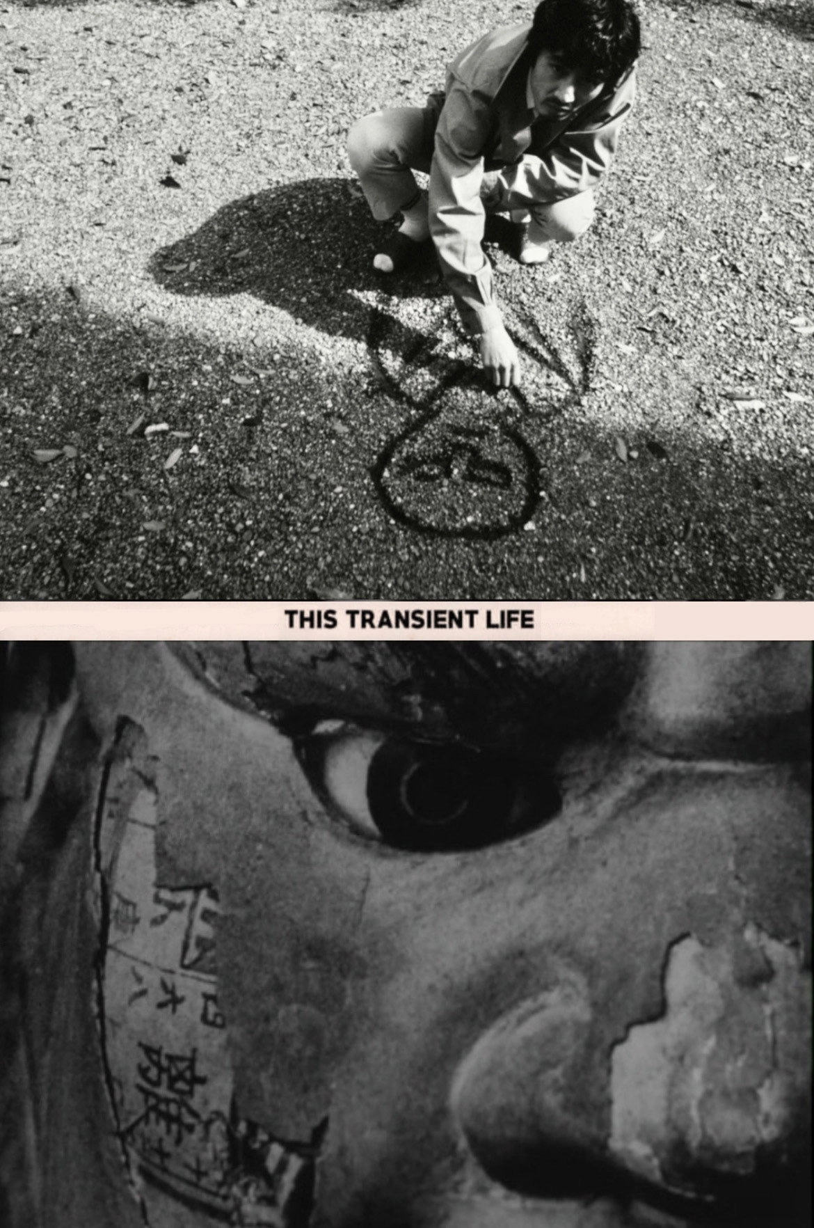 This Transient Life