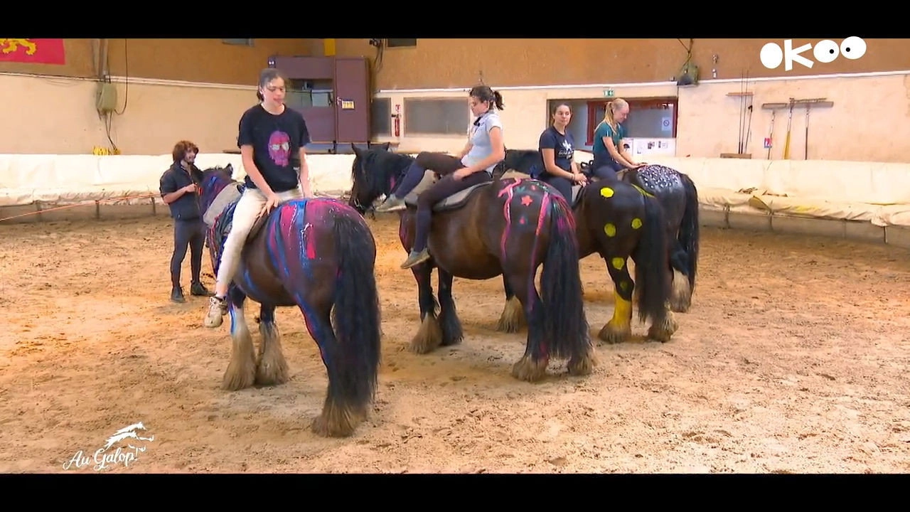 Au galop ! une saison à cheval