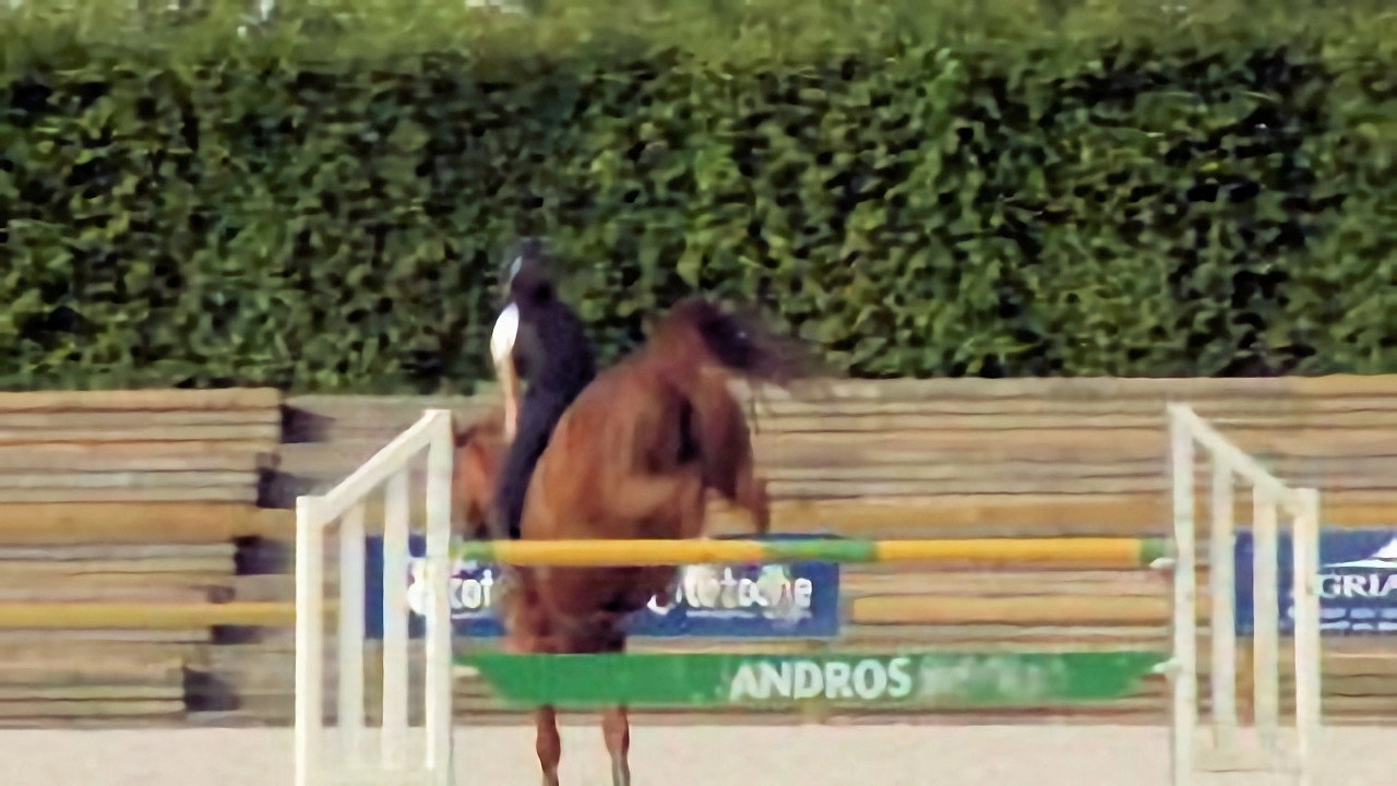 Au galop ! une saison à cheval