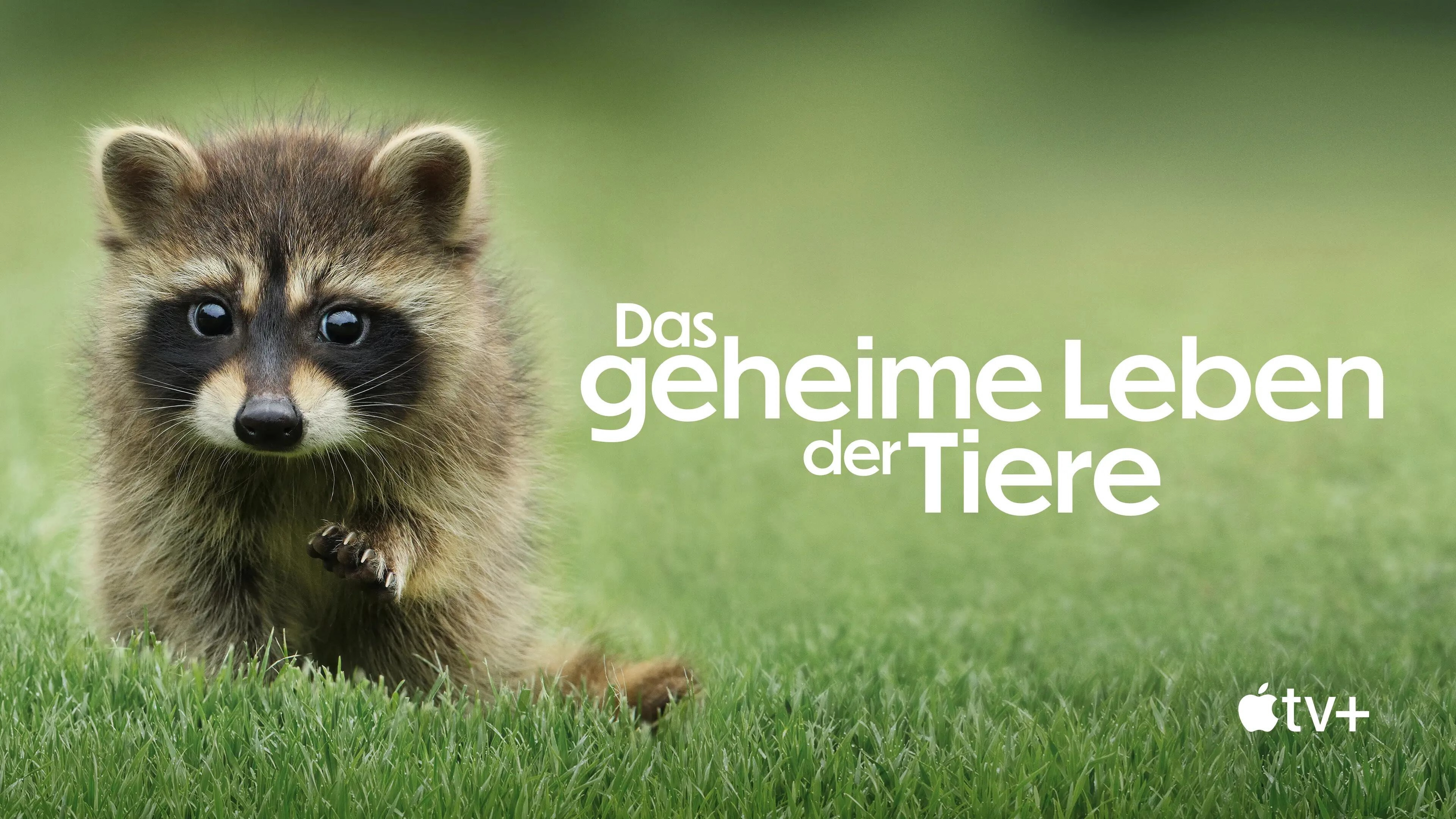 The Secret Lives of Animals