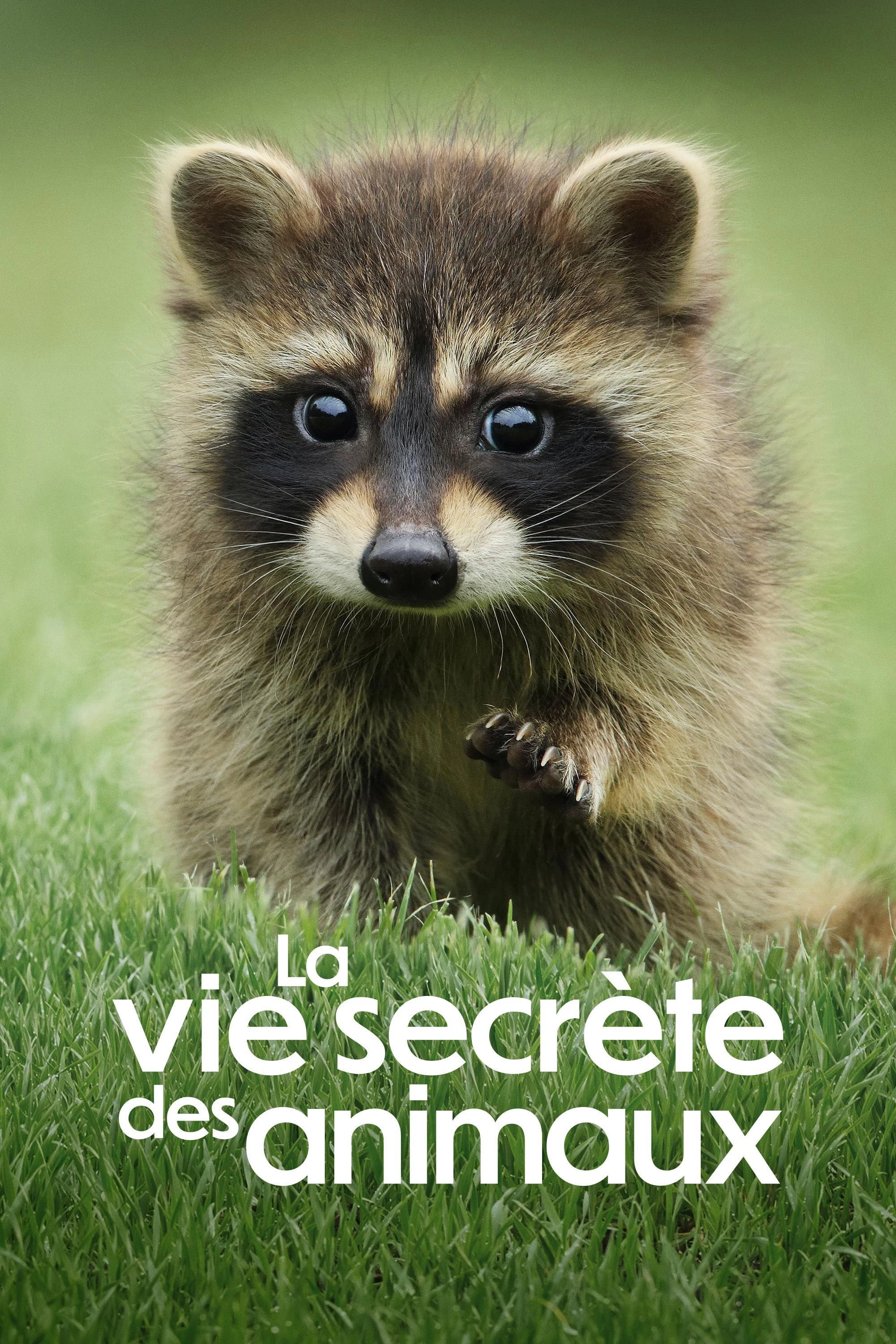 The Secret Lives of Animals
