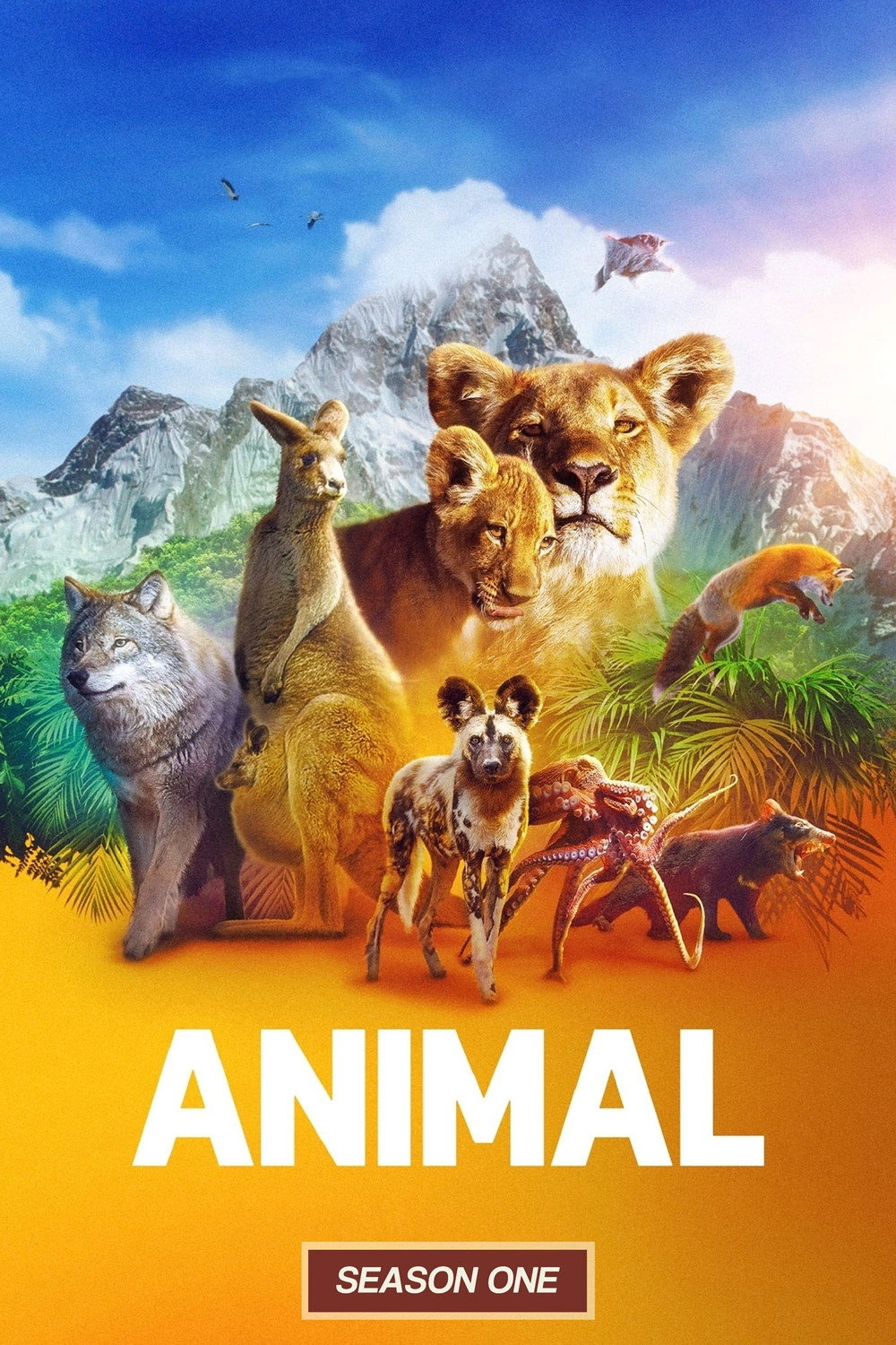 Animal