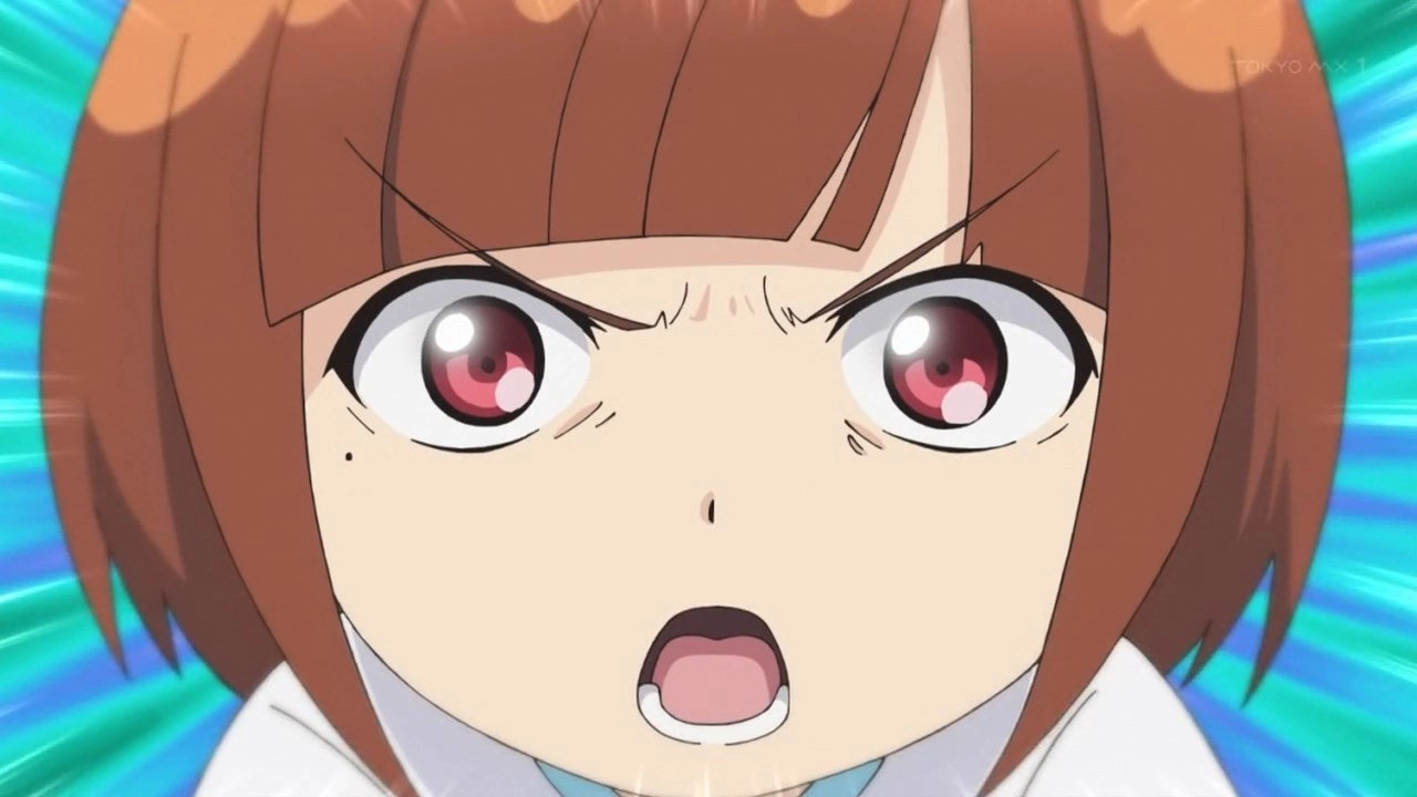 SuzakiNishi the Animation