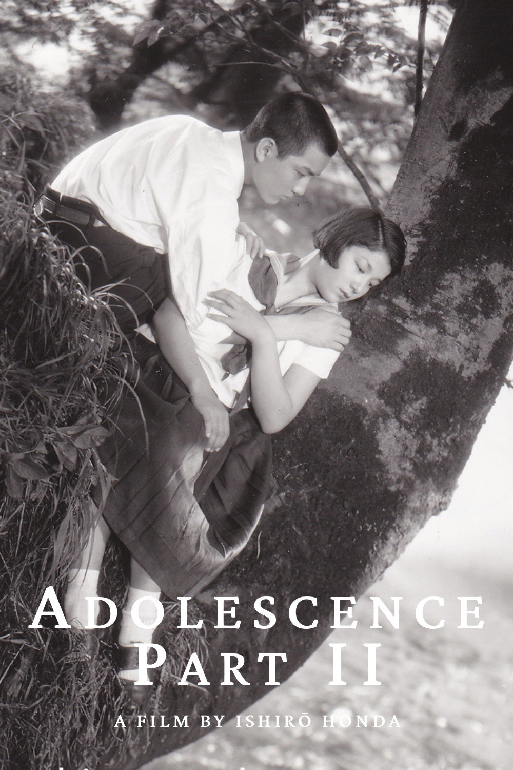 Adolescence Part II