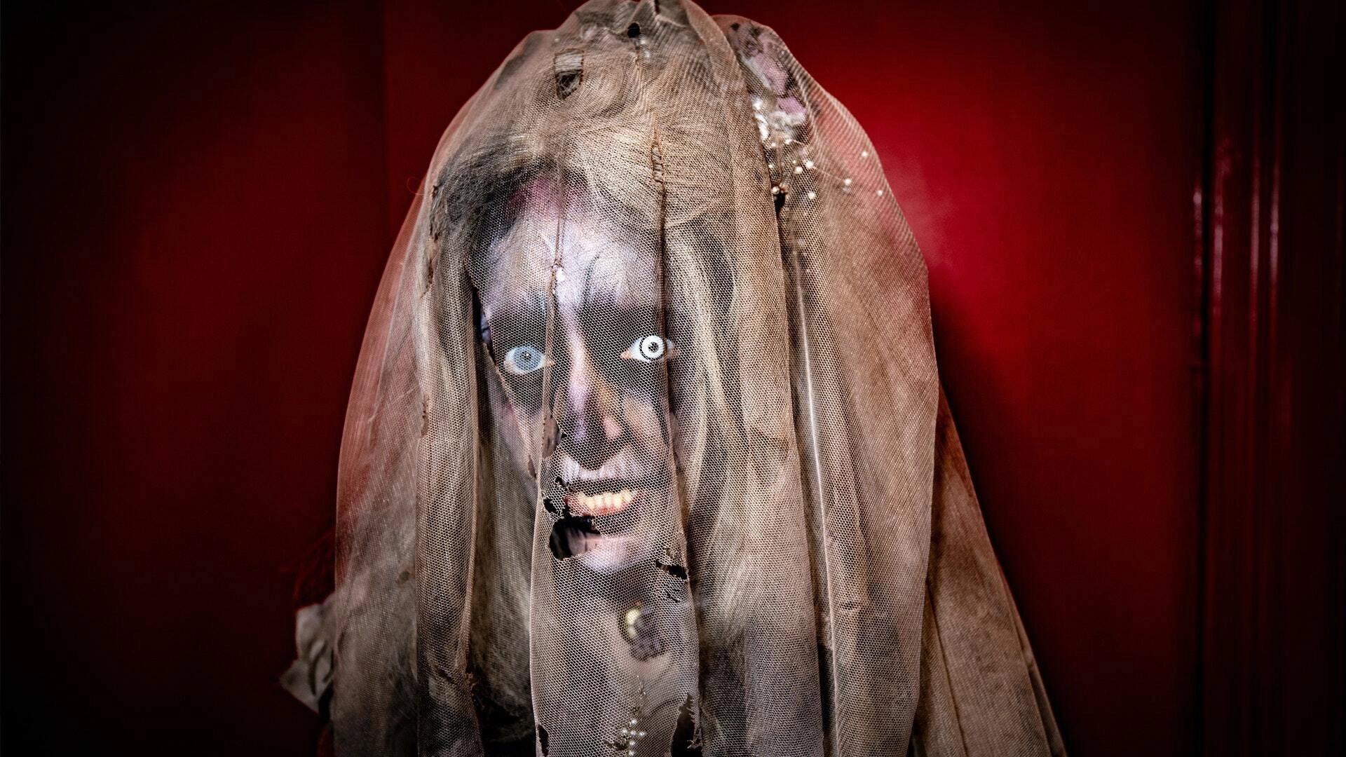 Wellington Paranormal
