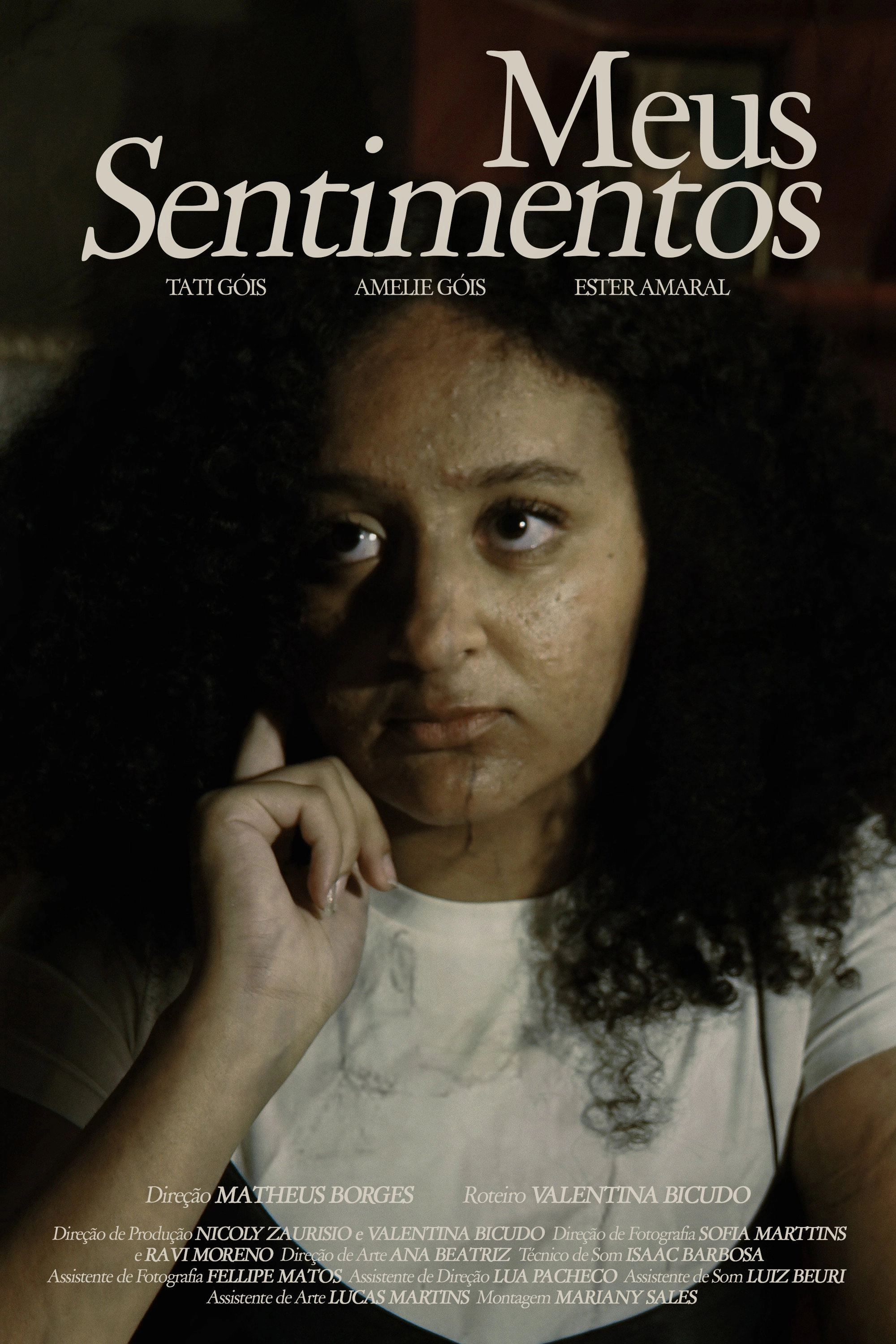 Meus Sentimentos