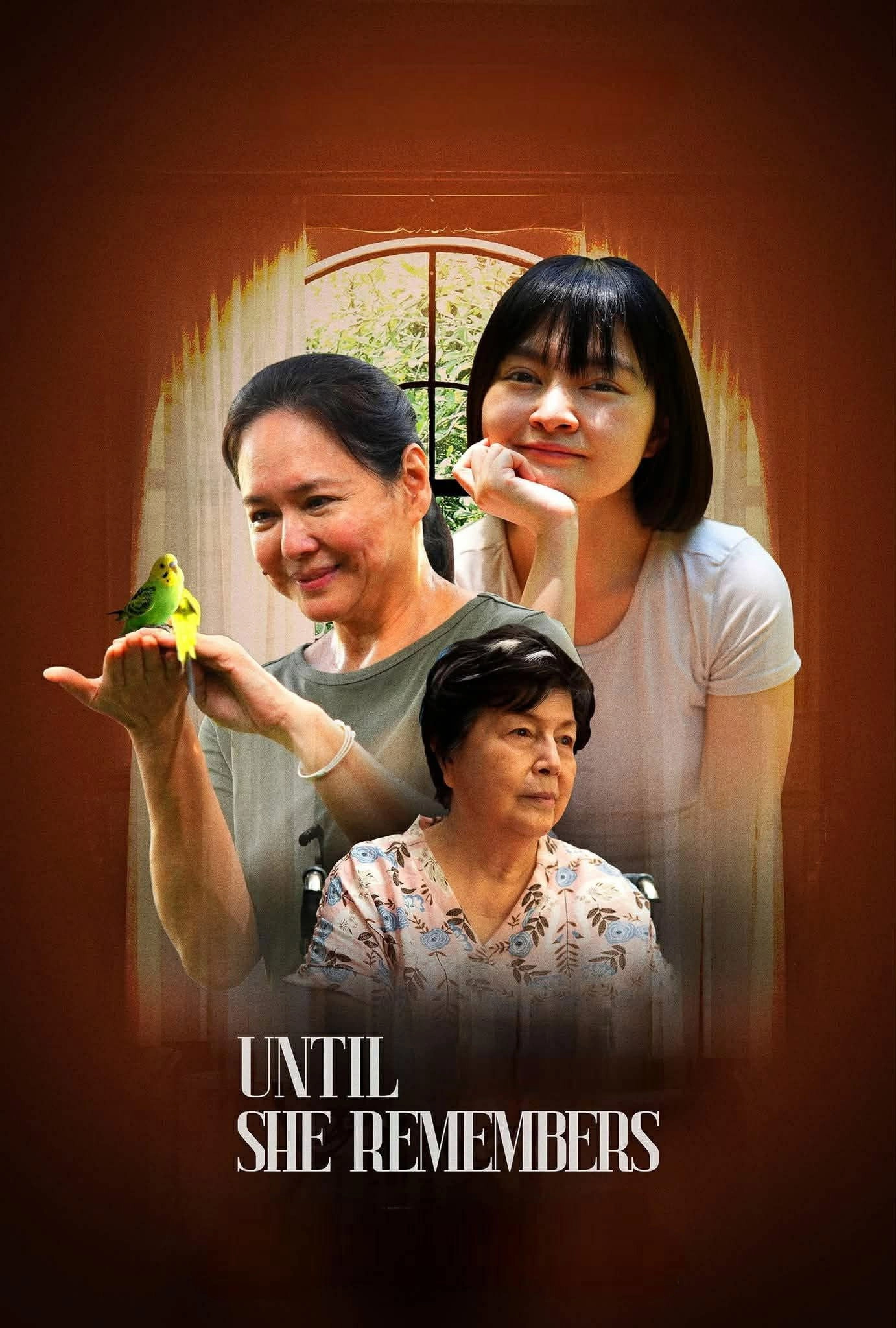Until She Remembers