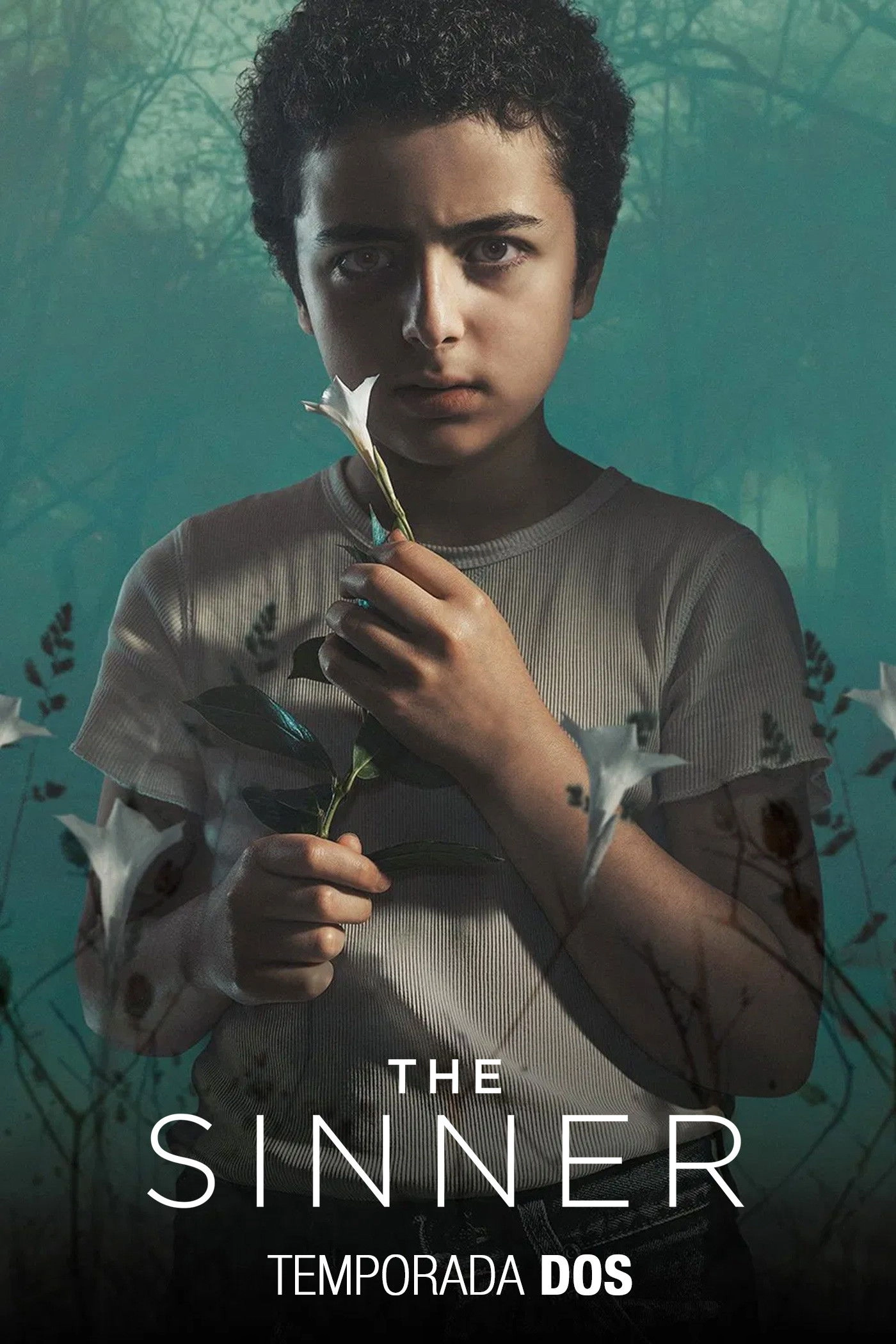 The Sinner