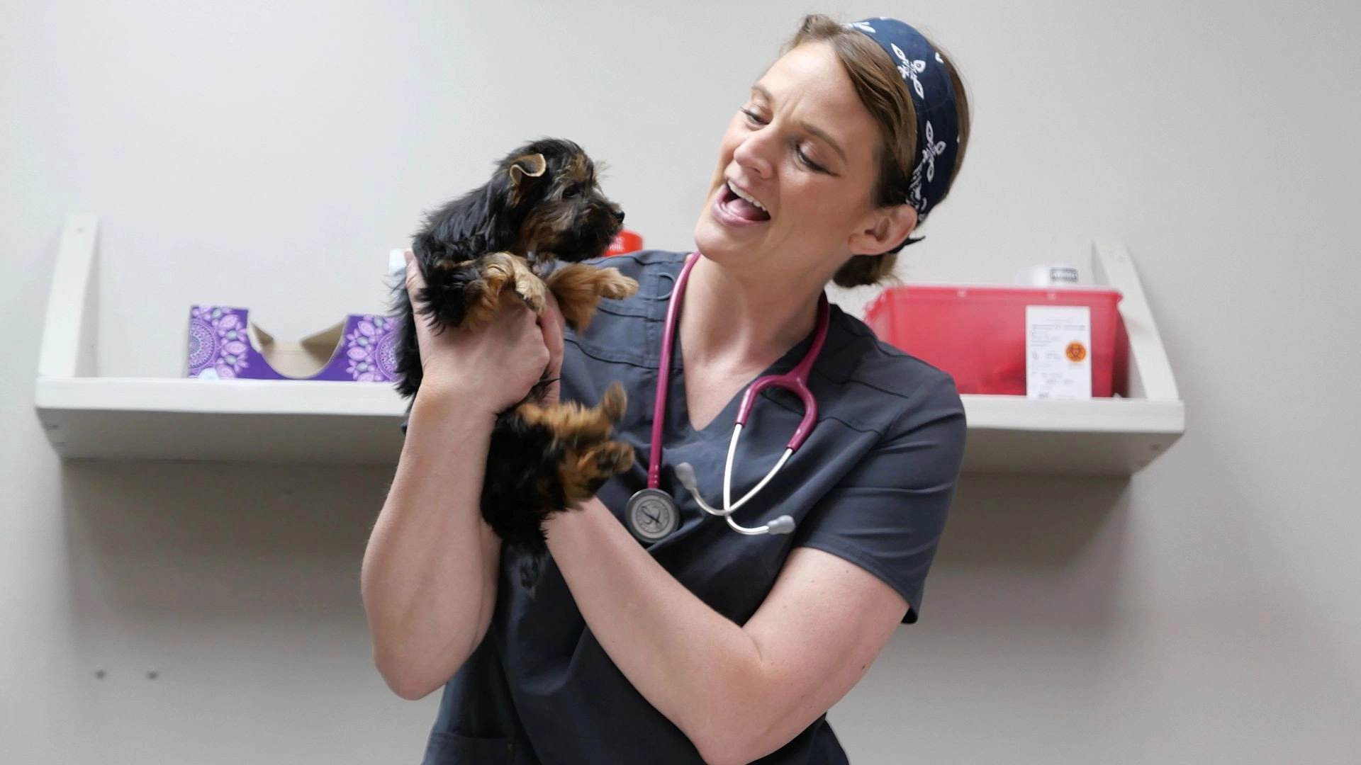 Heartland Docs, DVM