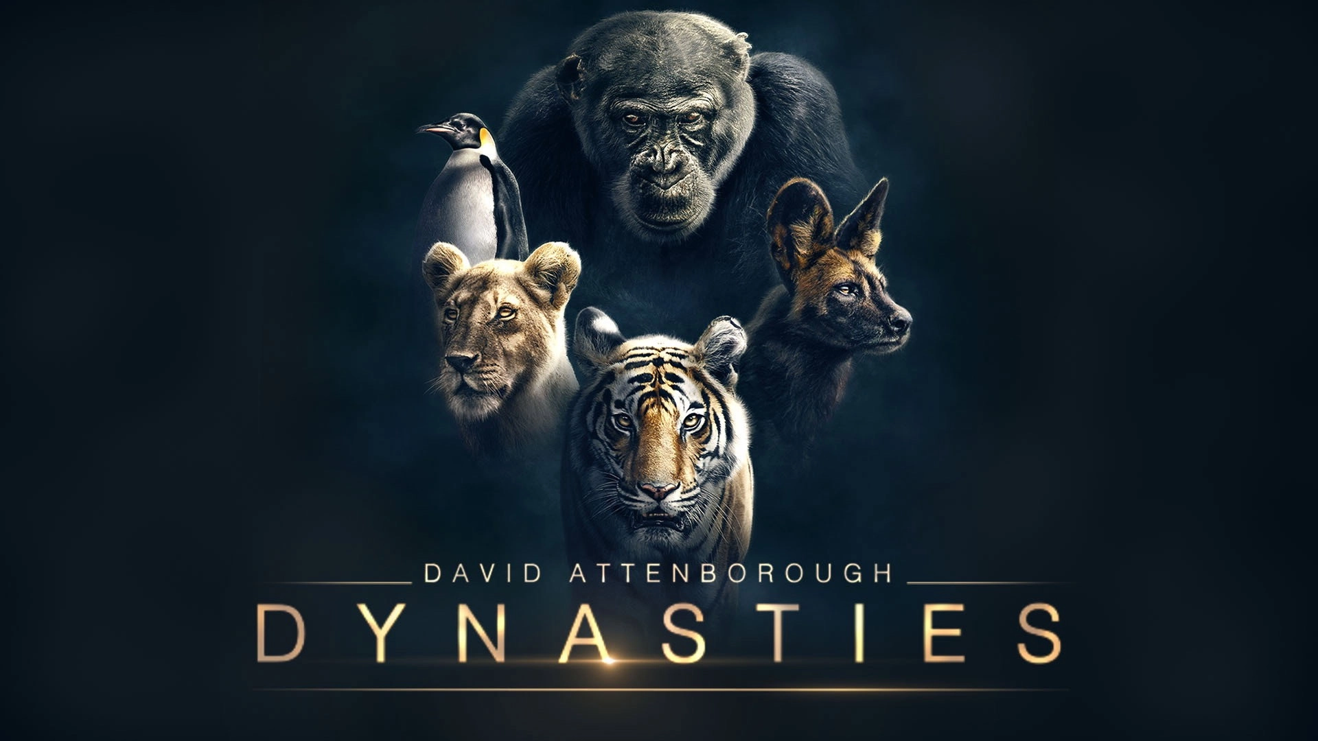 Dynasties