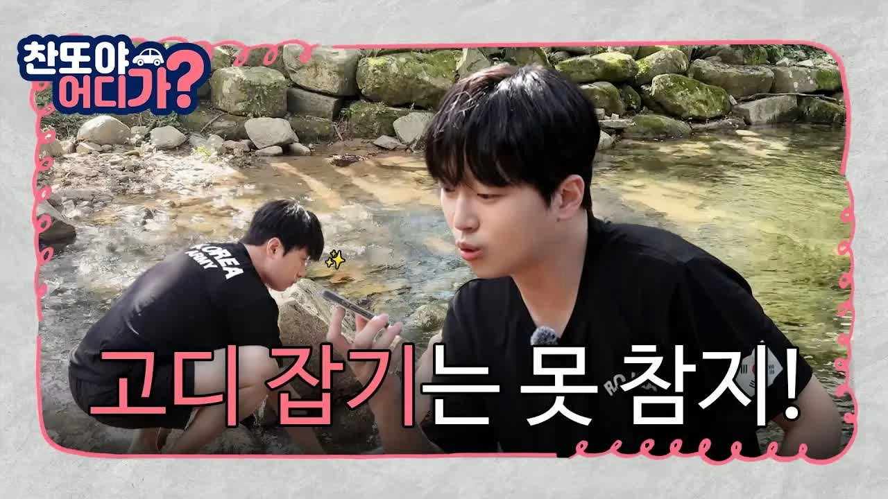 찬또야 어디가?
