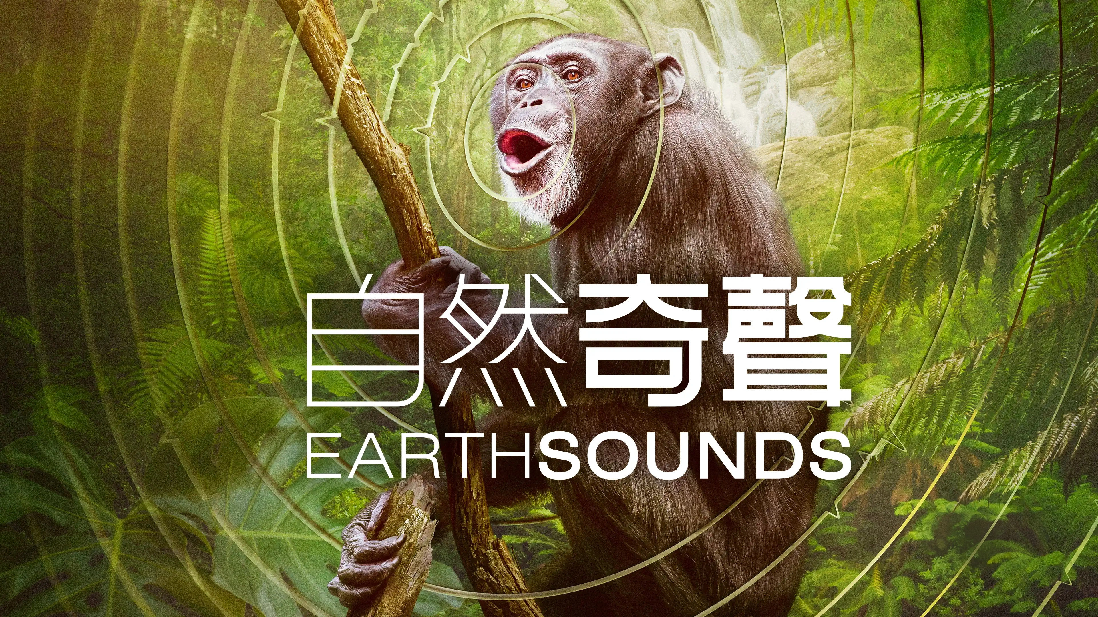 Earthsounds