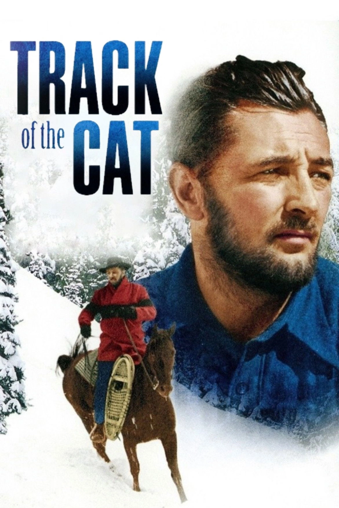 Track of the Cat