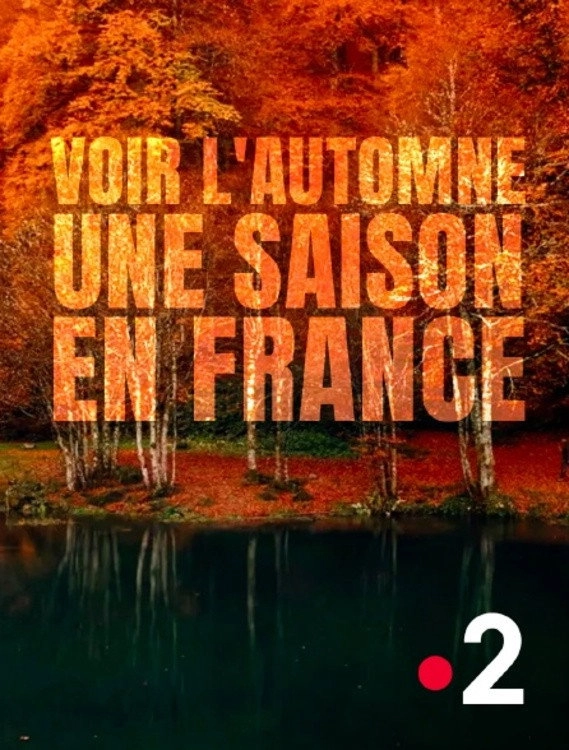 Voir l'automne, une saison en France