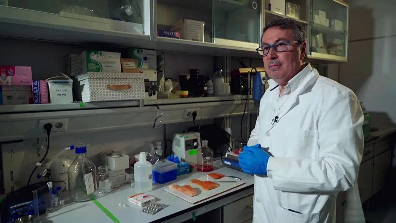 Equipo de investigación