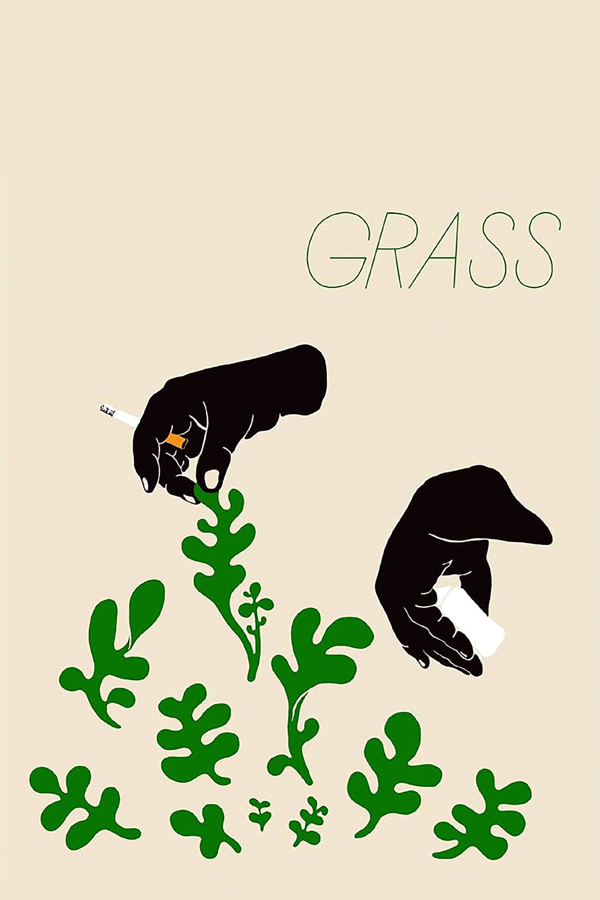 Grass