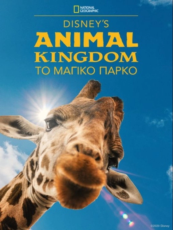 Magic of Disney's Animal Kingdom