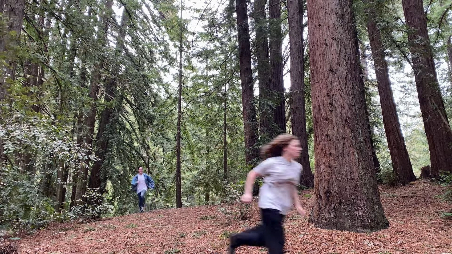 Queen of Hearts: A Twin Peaks Fan Film