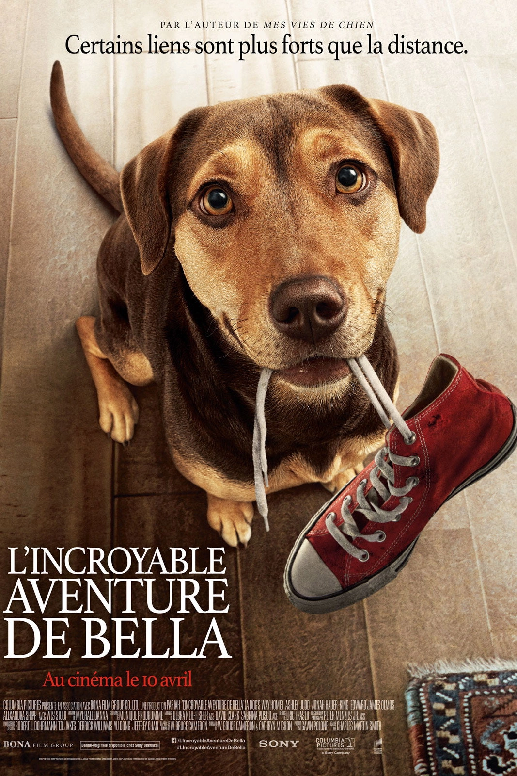 A Dog's Way Home