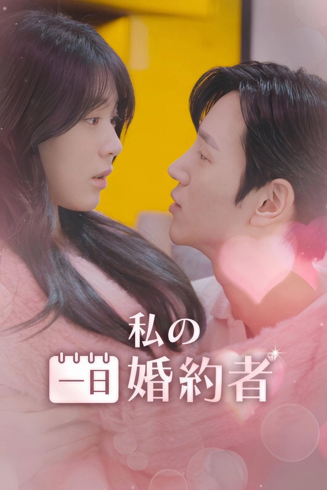 나의 시크릿 파트너