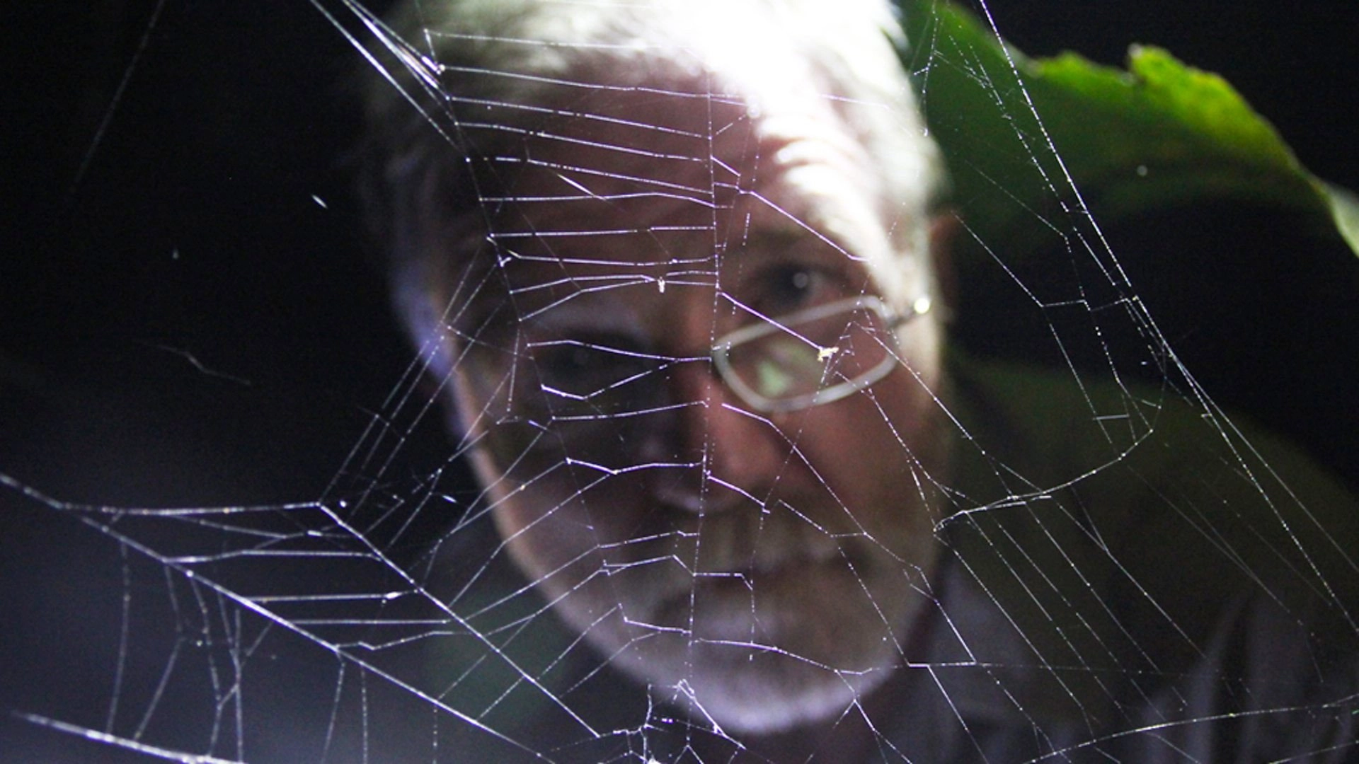 The Dark: Nature's Nighttime World