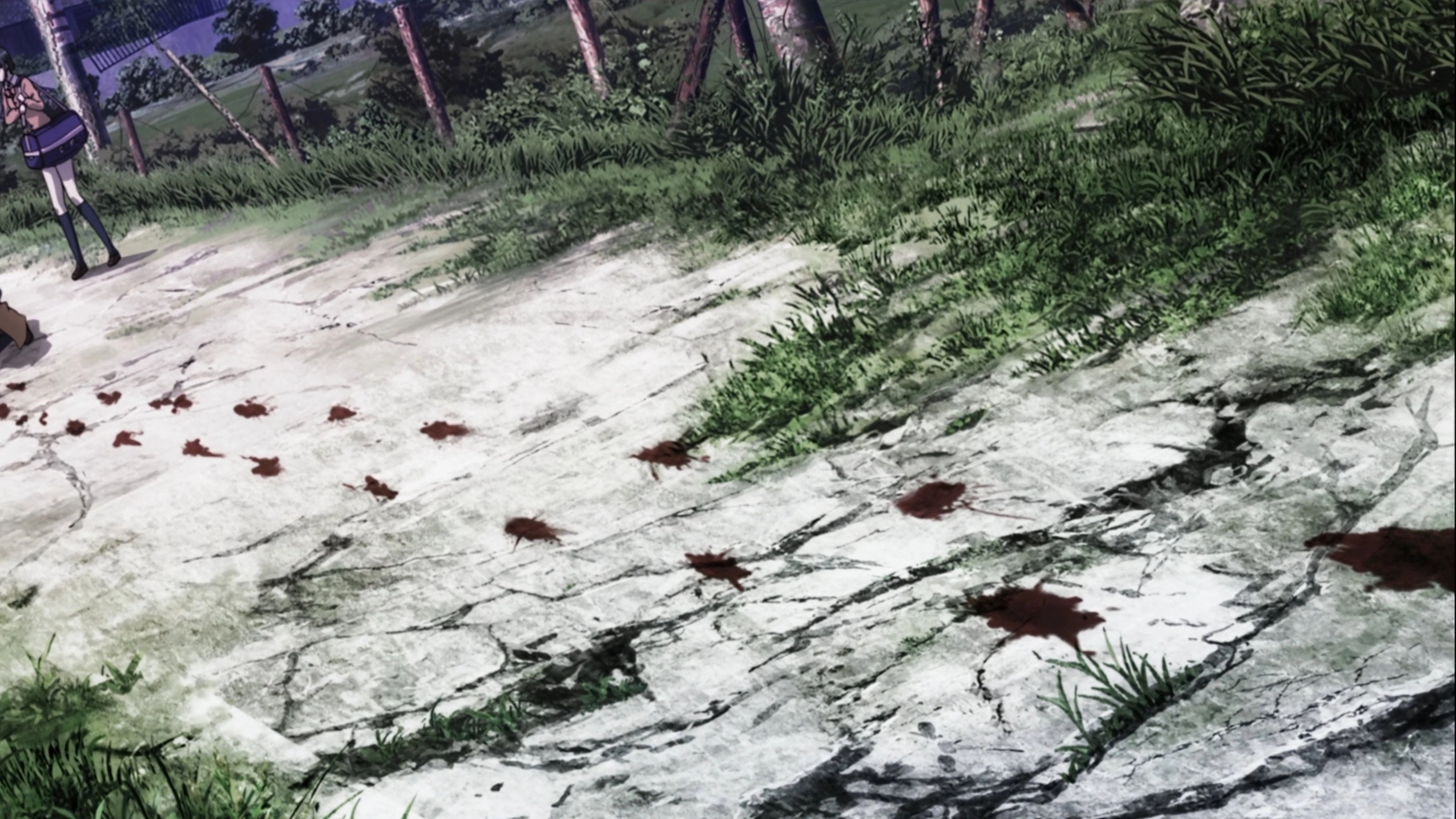 Coppelion