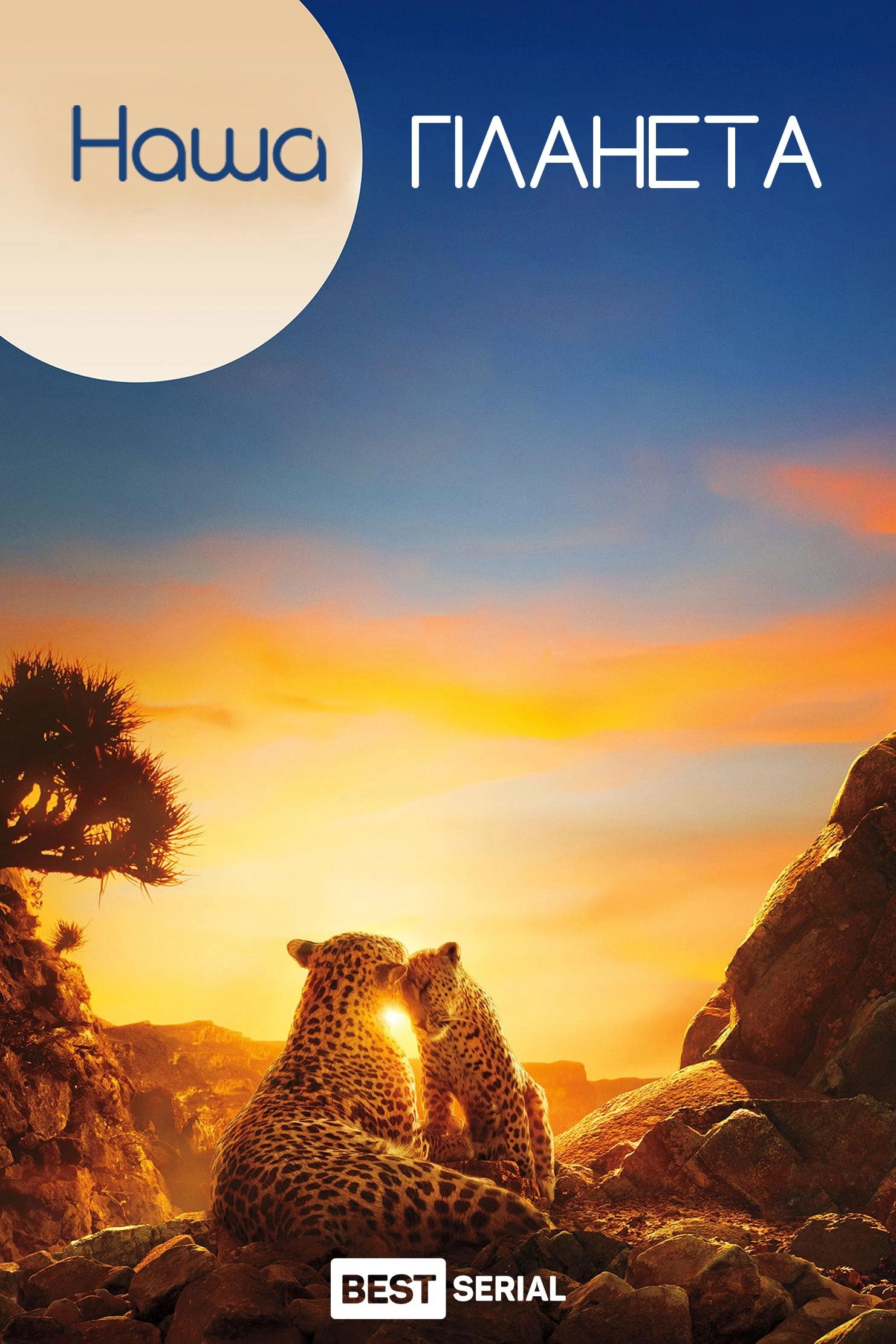 Our Planet