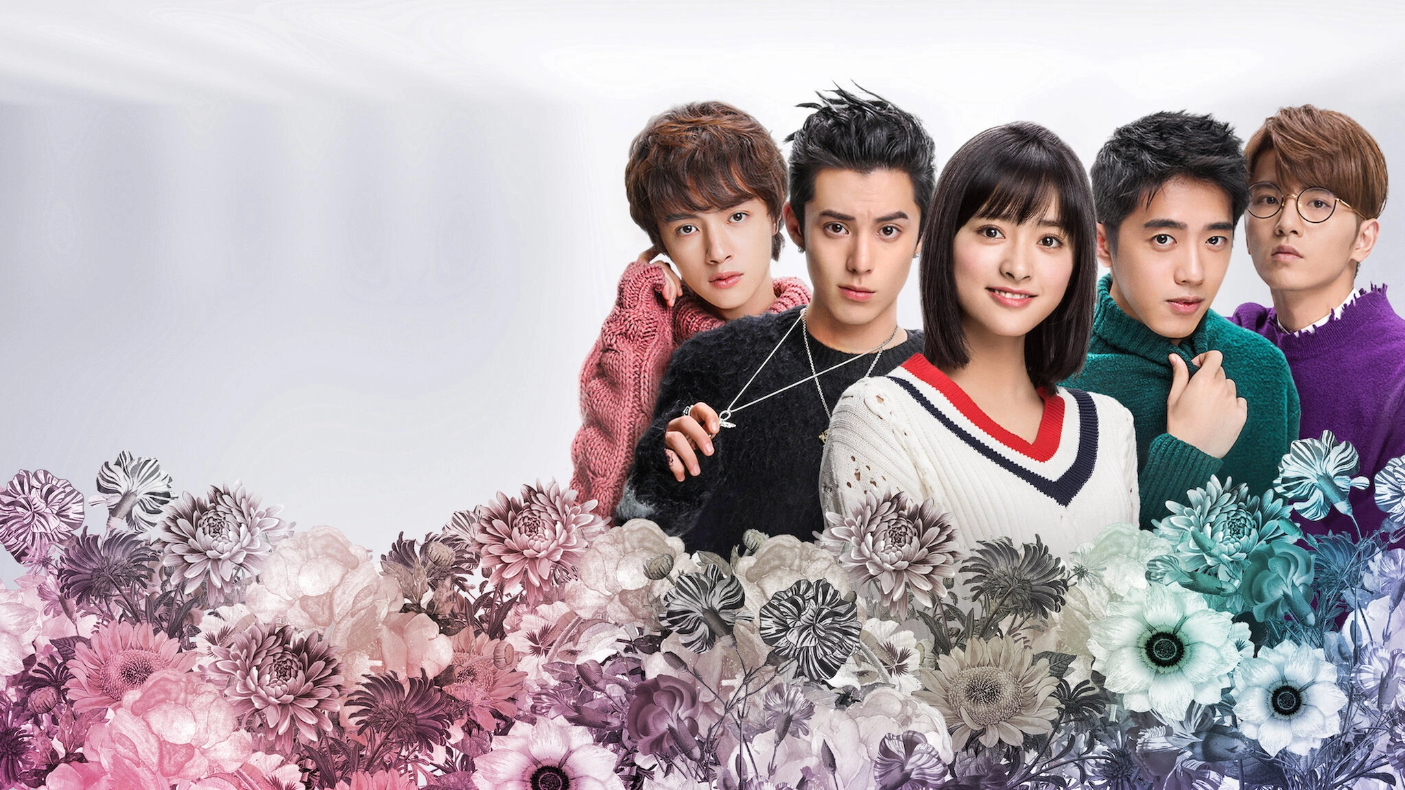 Meteor Garden