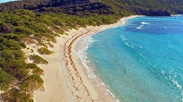 Verrückt nach Meer -  Vom Wasser aus die Welt entdecken