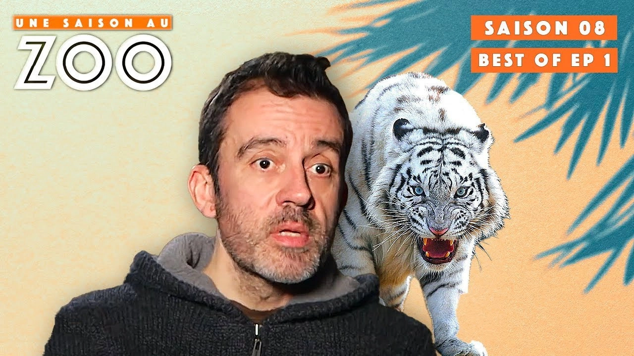 Une saison au zoo