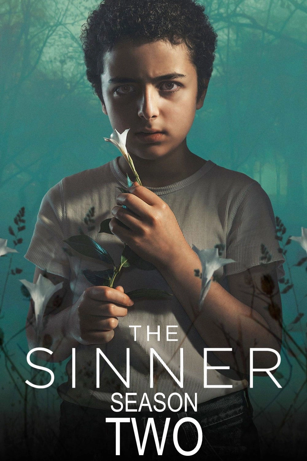The Sinner