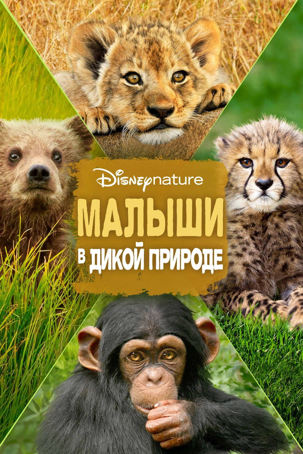 Growing Up Wild