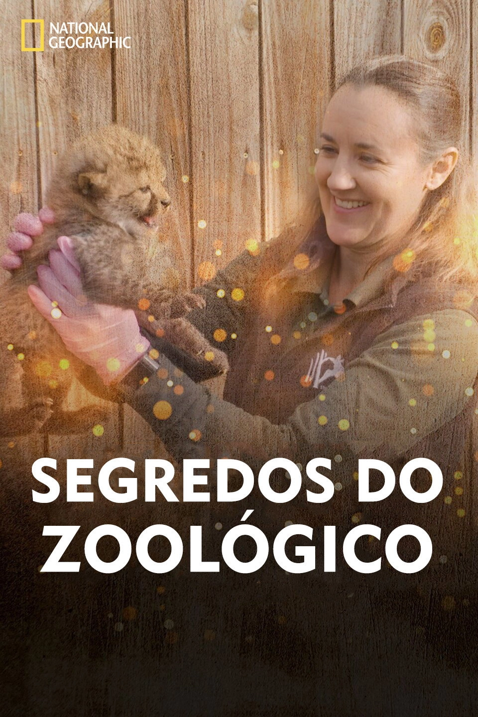 Secrets of the Zoo