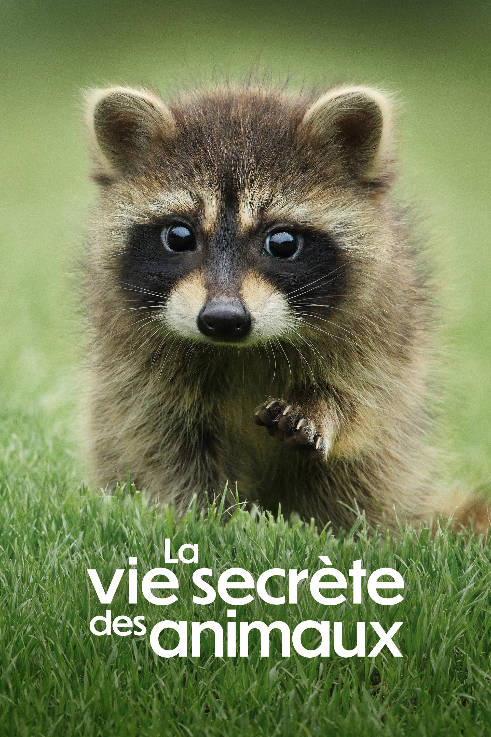 The Secret Lives of Animals