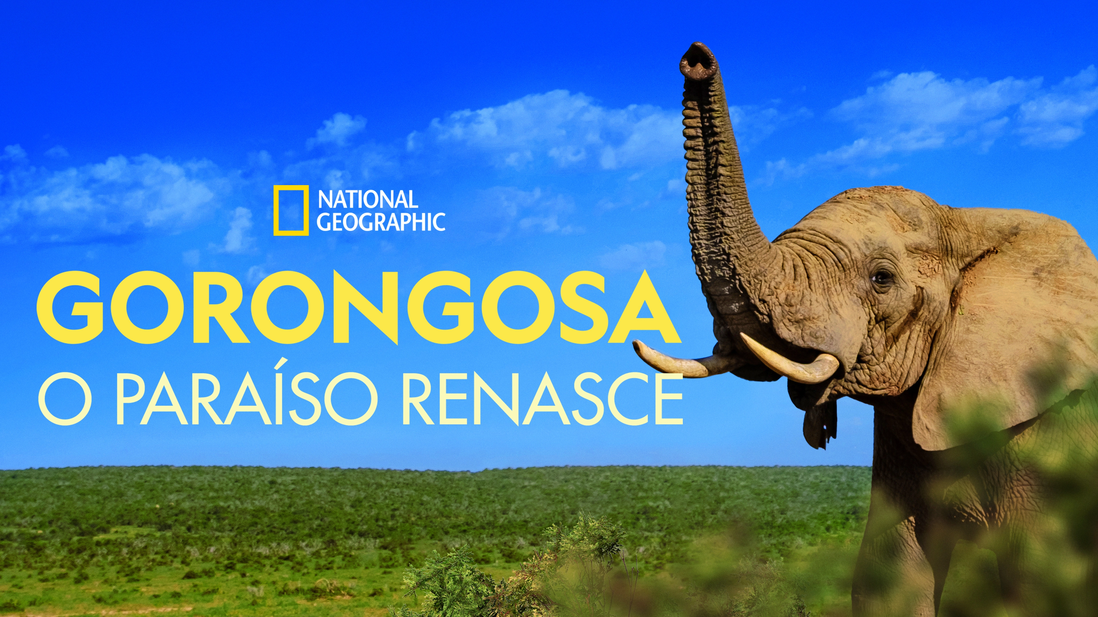 Gorongosa: Paradise Reborn
