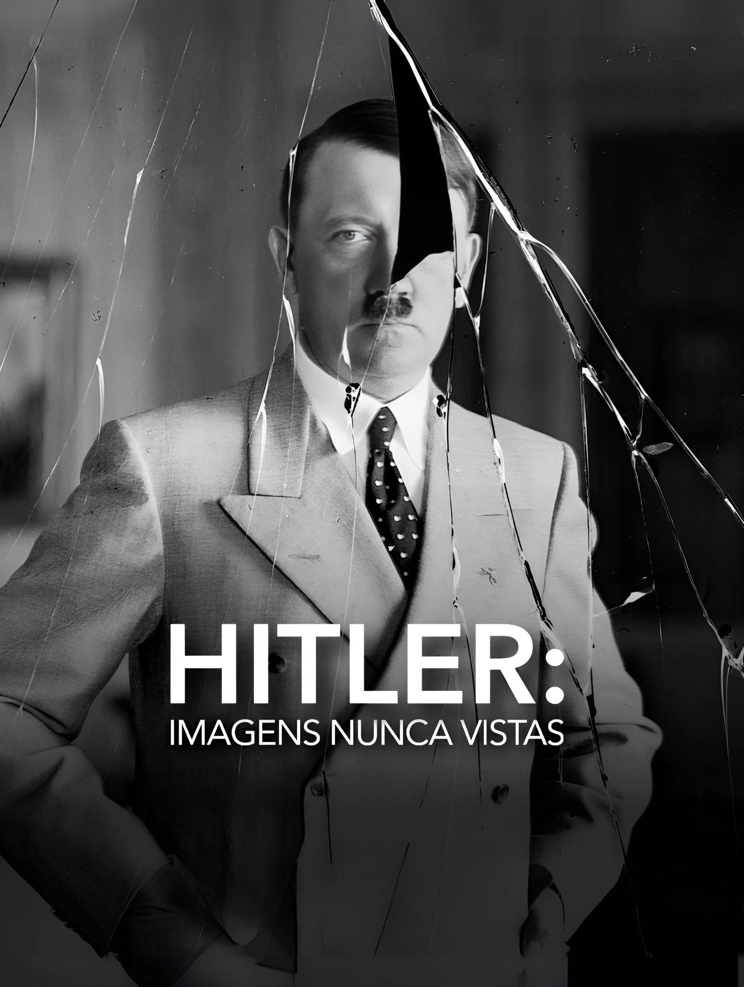 Hitler: A Life in Pictures