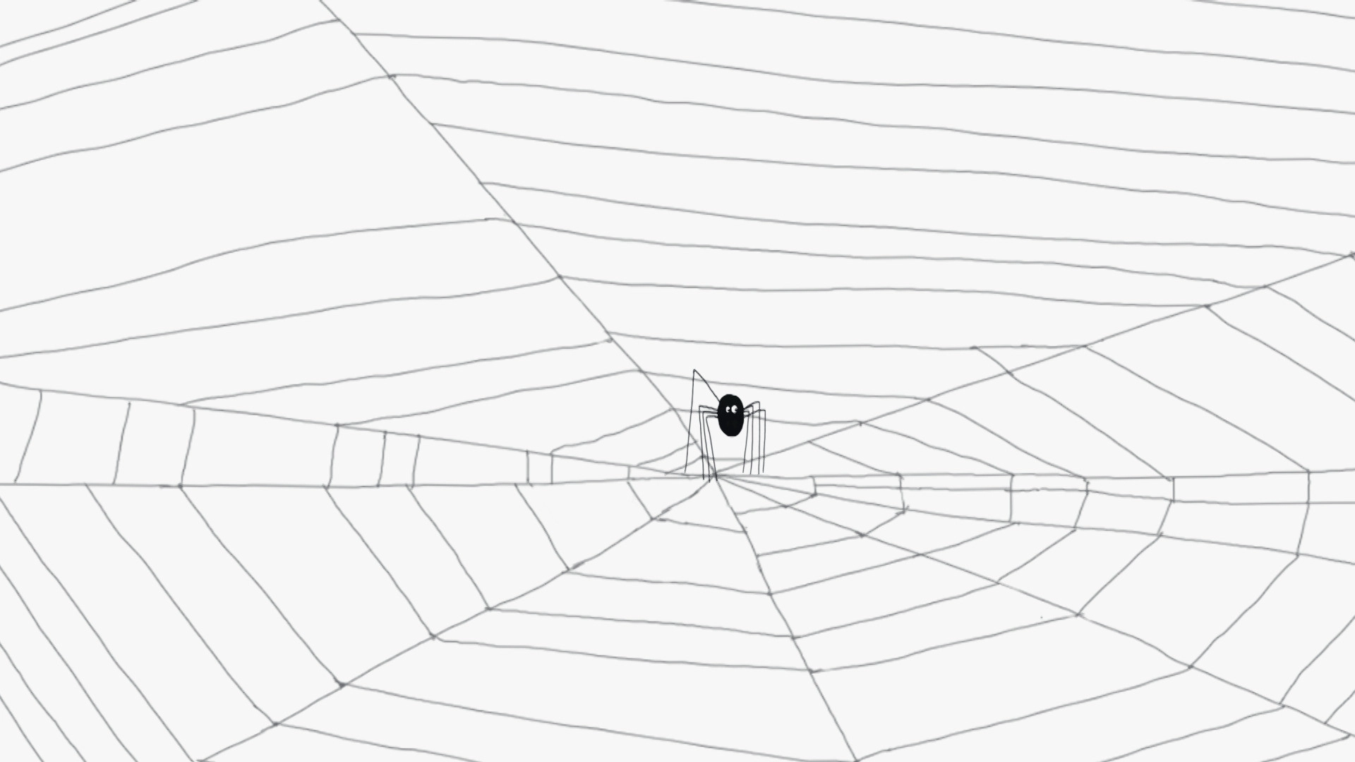 Spider Web