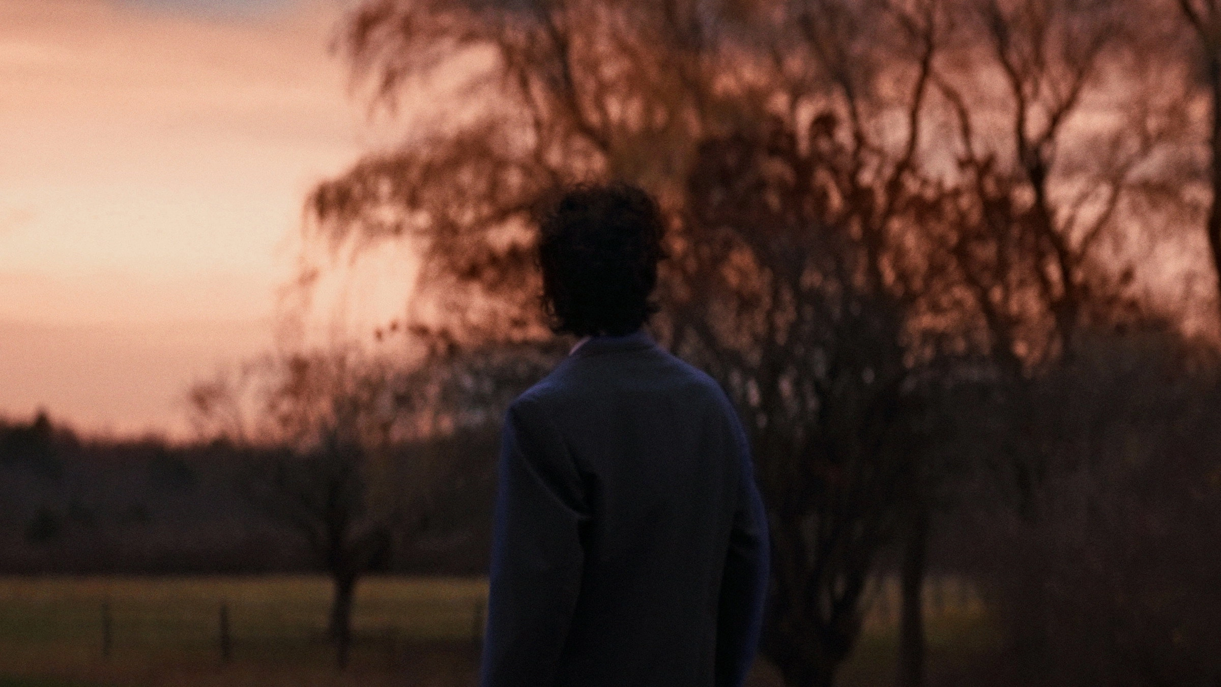 The Blue Suit