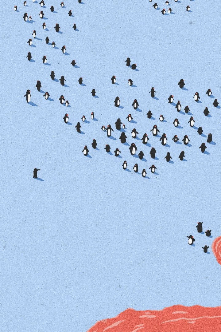 The Penguin Who Couldn’t Swim