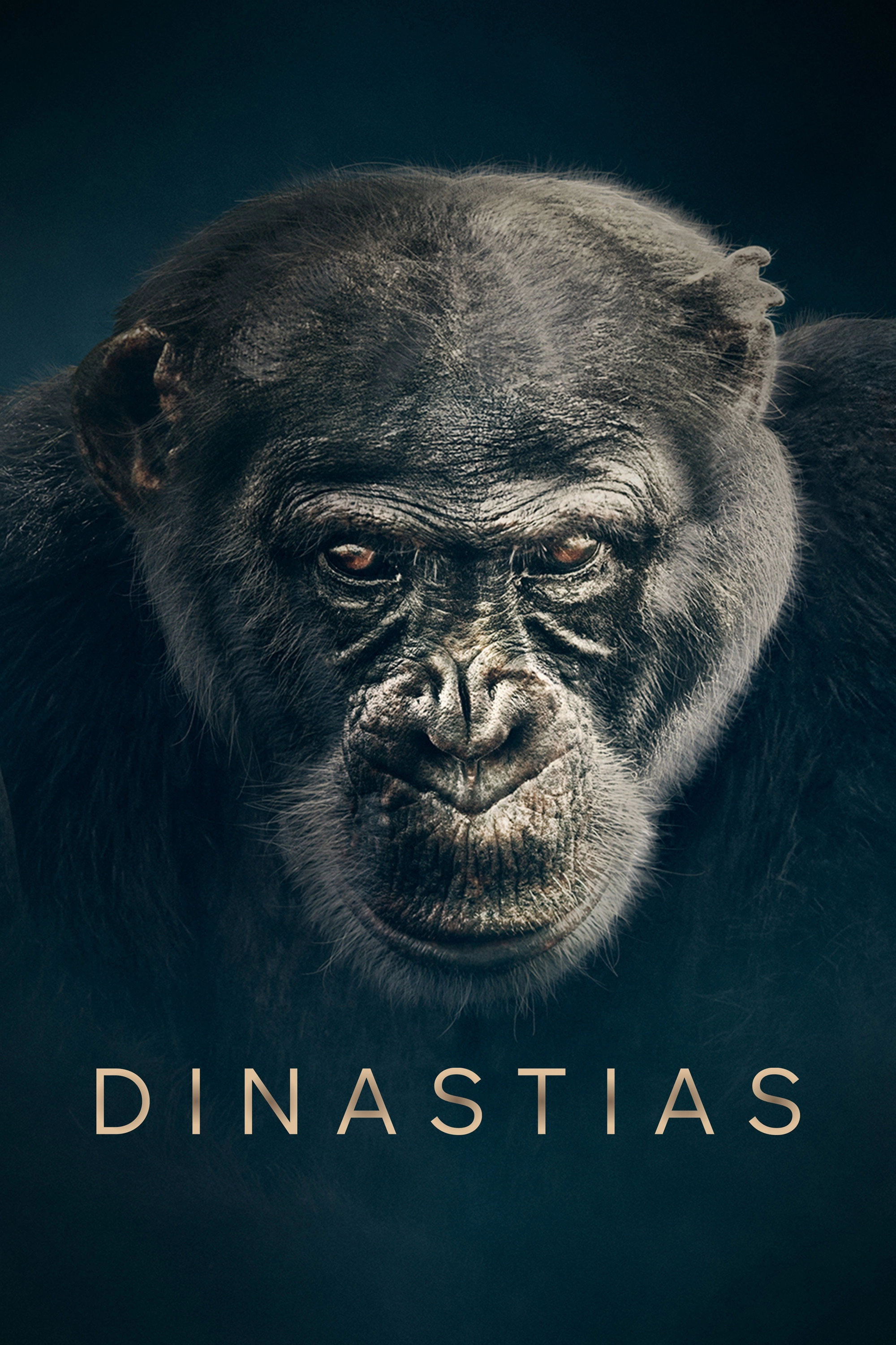 Dynasties