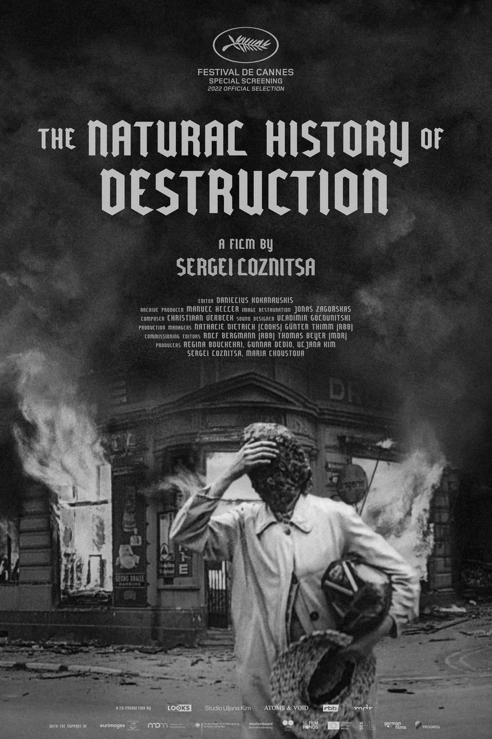 The Natural History of Destruction
