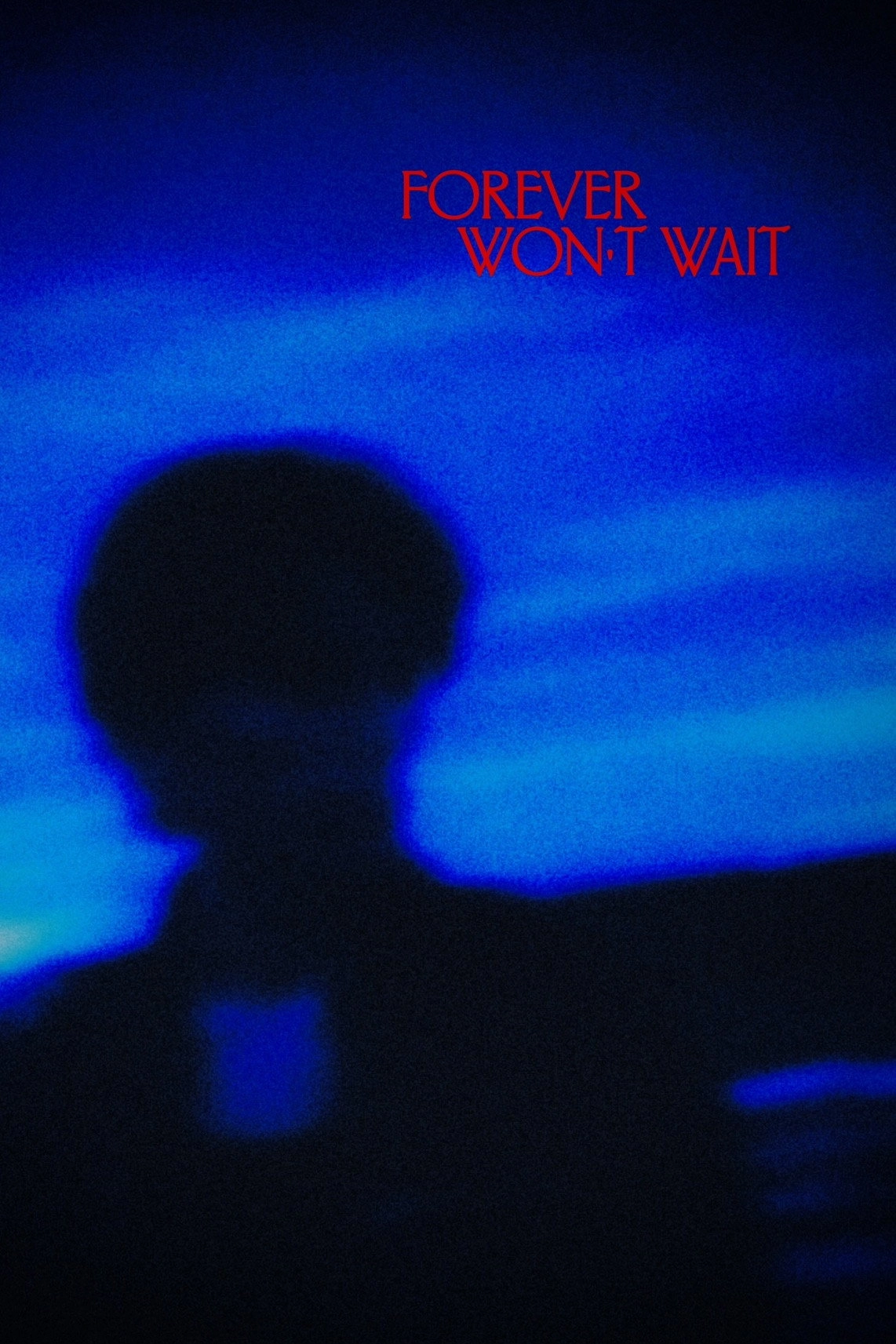 Forever Won't Wait