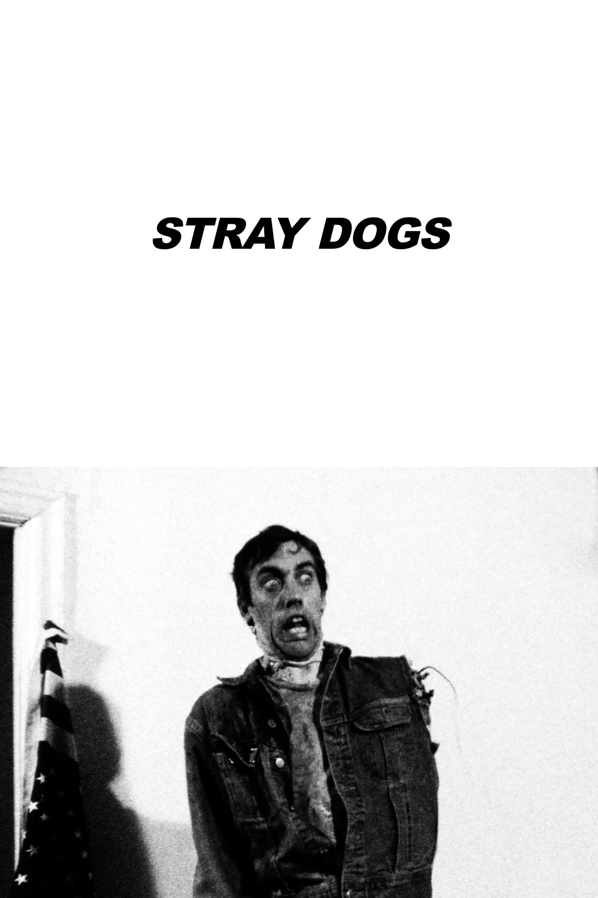 Stray Dogs