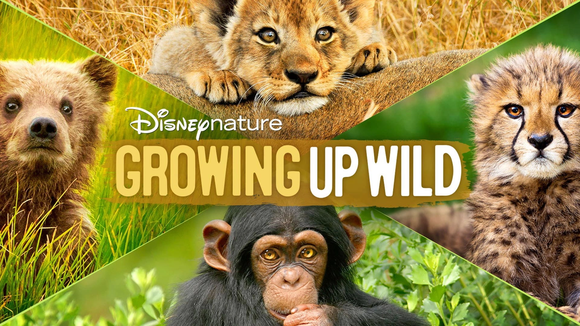 Growing Up Wild