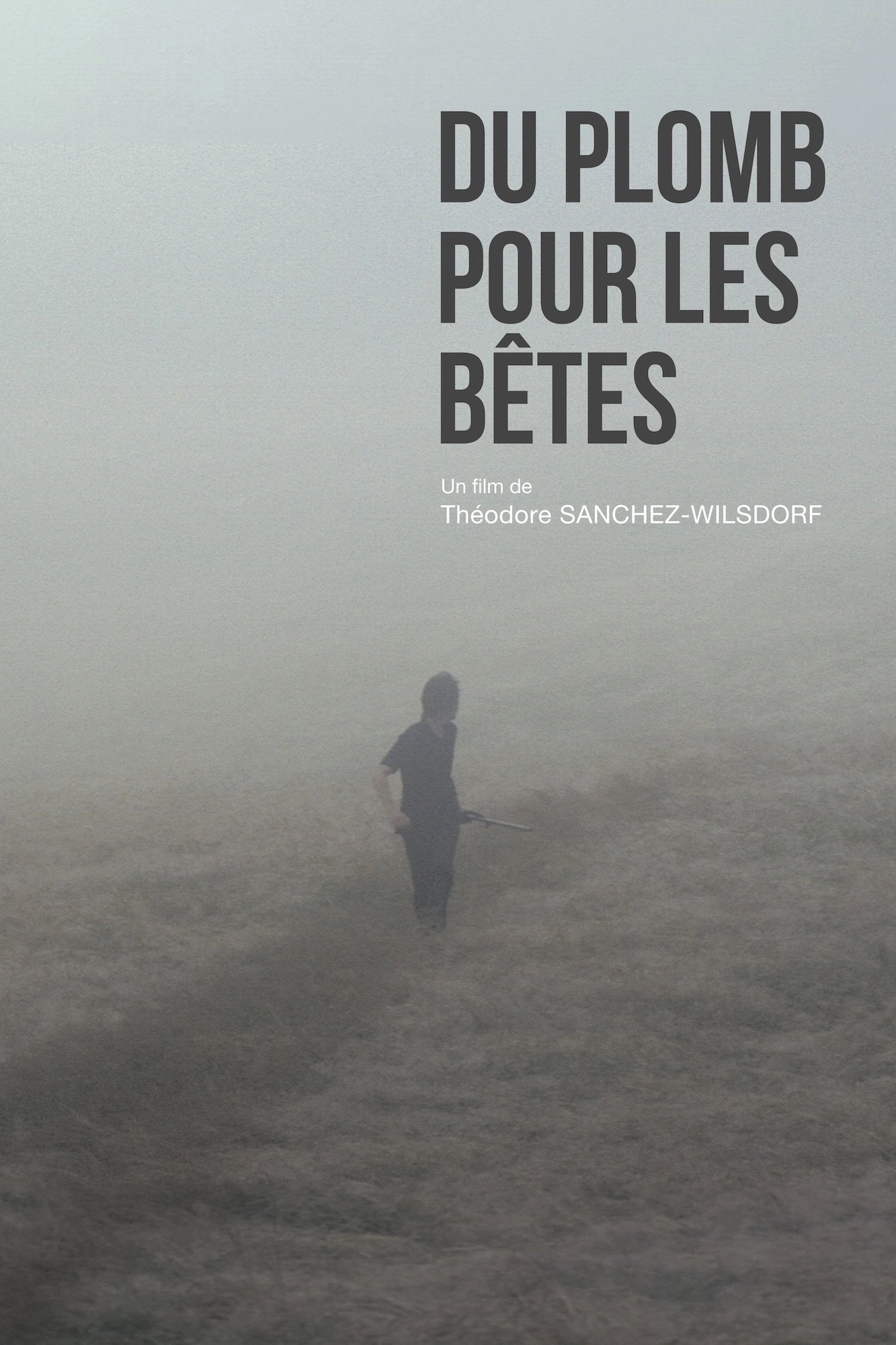 Du plomb pour les bêtes