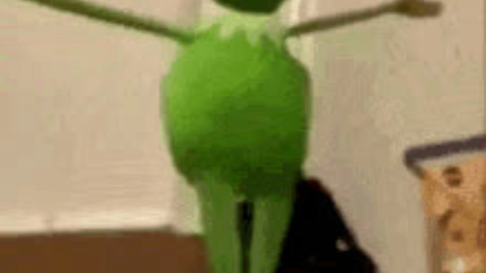 A delicate dance with god ~ {Kermit