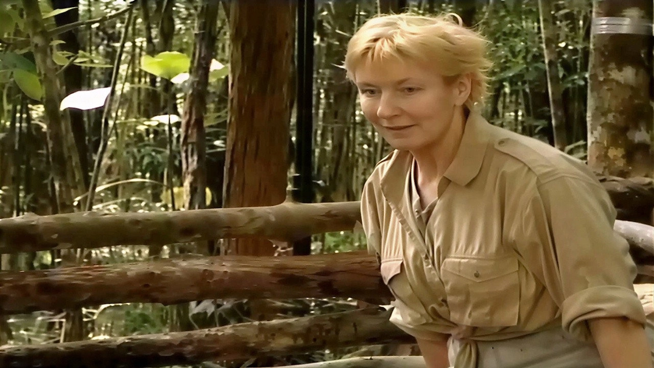 I'm a Celebrity...Get Me Out of Here!